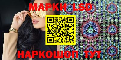 apvp Ярославль