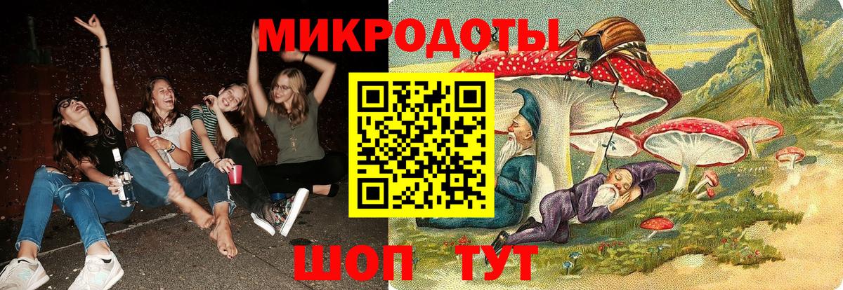 Ахтубинск  Псилоцибиновые грибы Psilocybe  Вход с VPN 